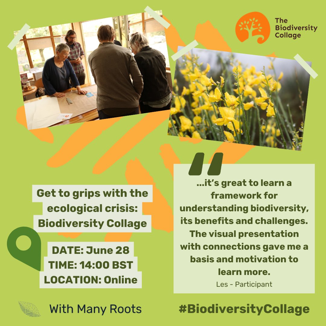 Keen to understand our planets ecosystem? Then join us for this month's Community Biodiversity Collage, hosted by @‌sophiacheng ! 🌳

Follow the link in the description to reserve your spot. 🎟️

#ClimateEducation #BiodiversityCollage