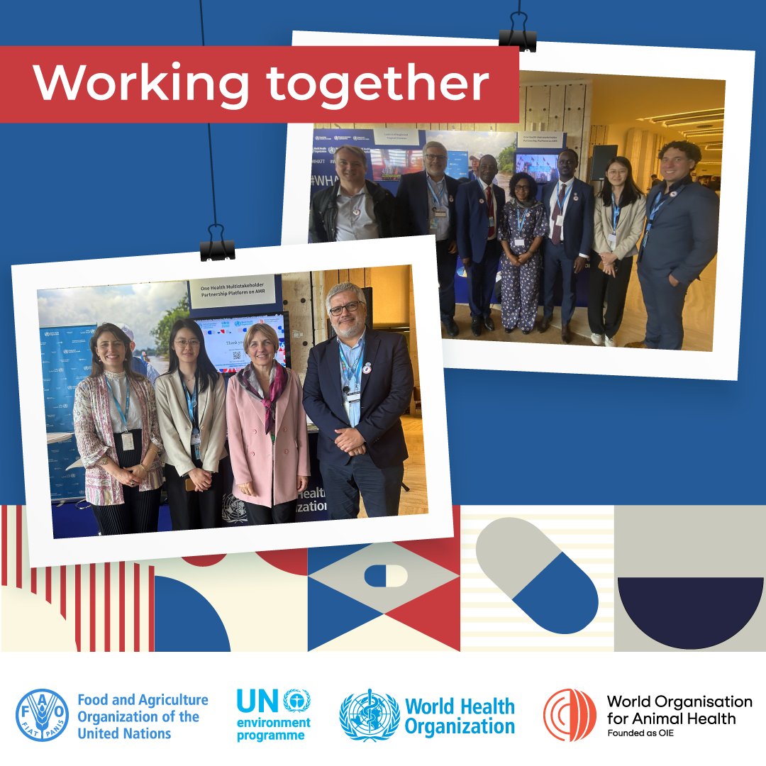 Together with our partners, <a href="/FAO/">Food and Agriculture Organization</a> is committed to advancing global efforts to address #AntimicrobialResistance. 

This collaboration was highlighted at the #WHA77 and #WOAHGS through the AMR Multi-Stakeholder Partnership Platform.

More about the Platform: bit.ly/3tZ704O