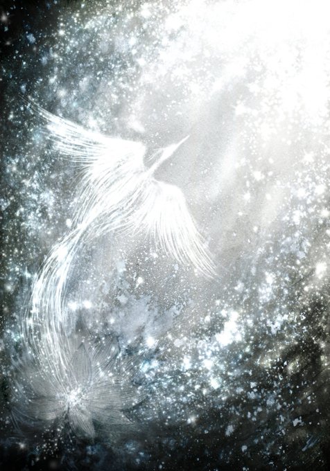 「angel wings」 illustration images(Latest)