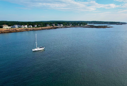 Fitch Max tweet media