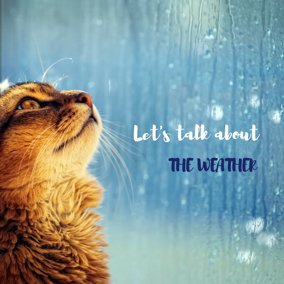 English with Suzanne tweet media