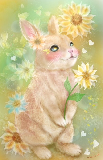 「blush petals」 illustration images(Latest)