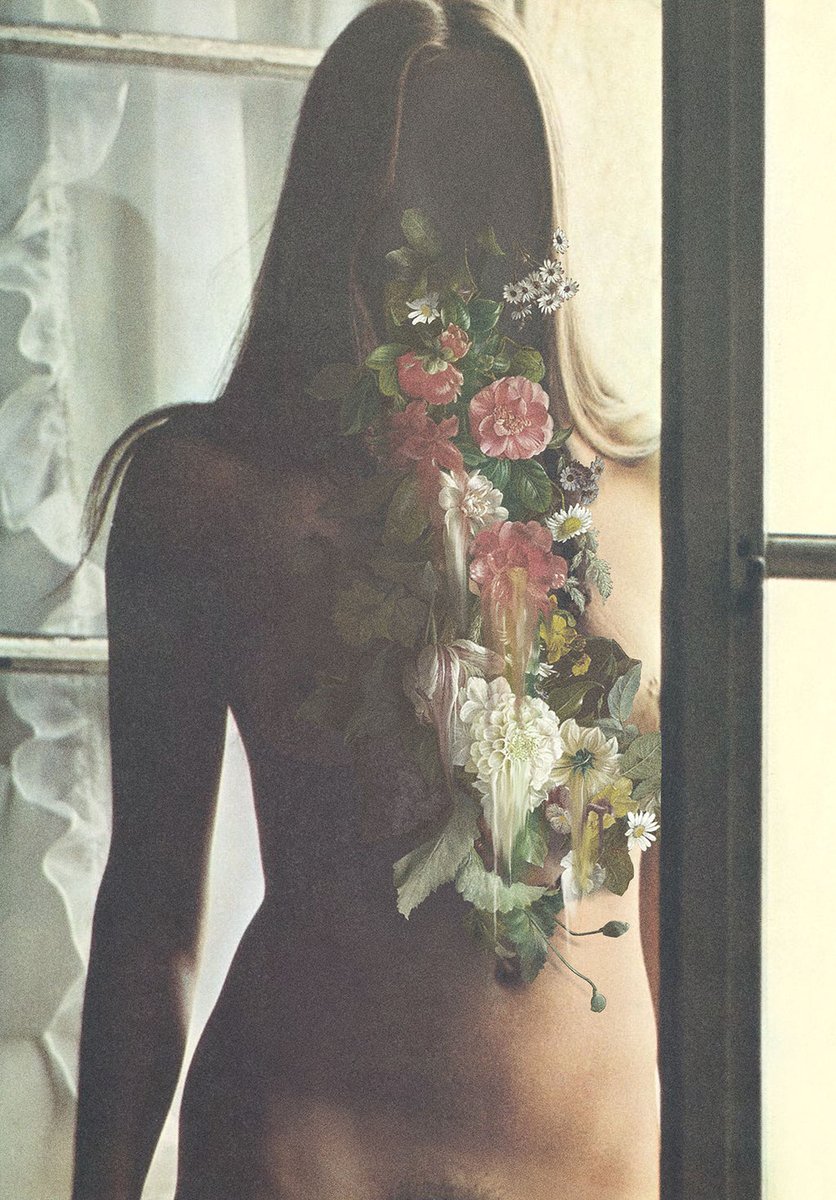 GM 'No Bold Villain' 
(Collected) 🌿