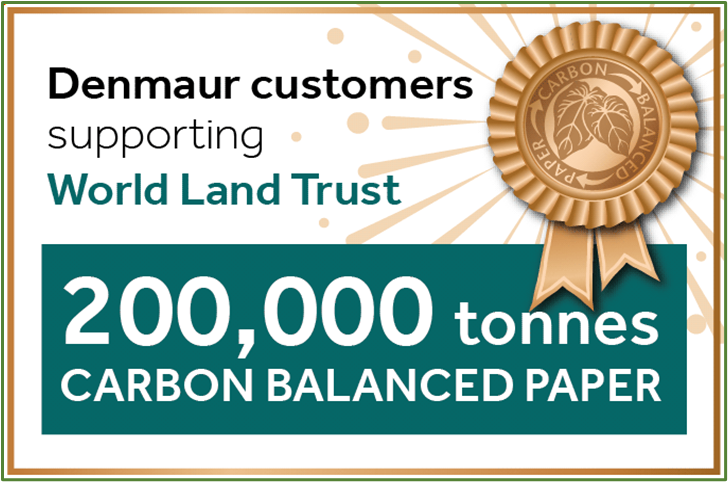 Denmaur Paper Media tweet media