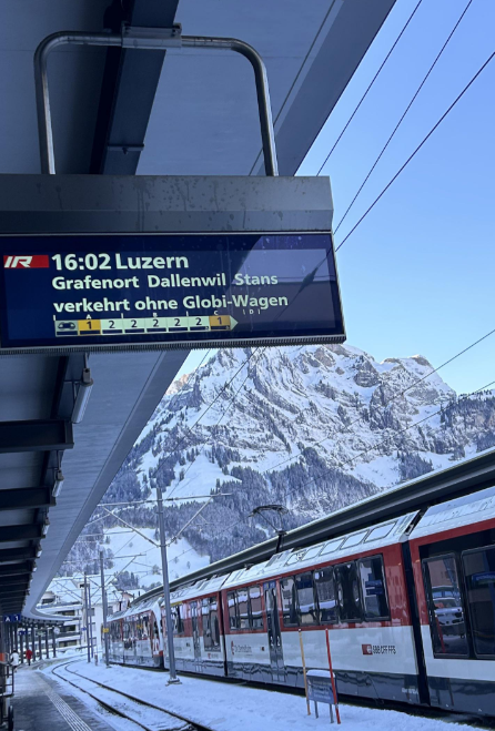 whitefleaCH's tweet photo. GOPFERTAMMI!
#swissproblems https://t.co/xHywKcmUgm