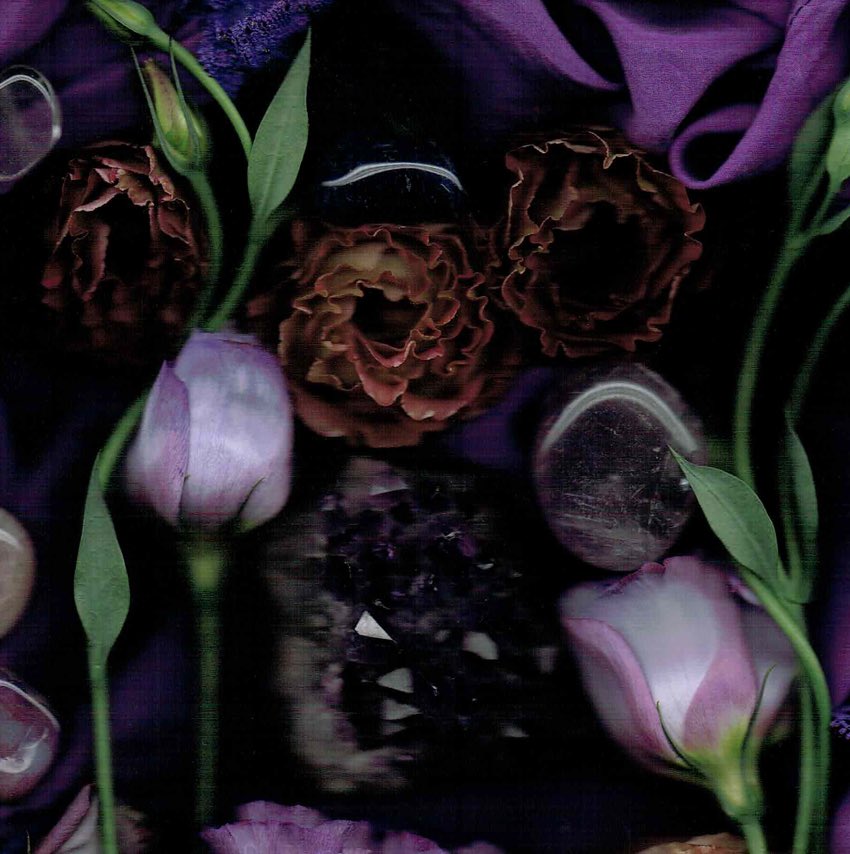 Celeste Sterling tweet media