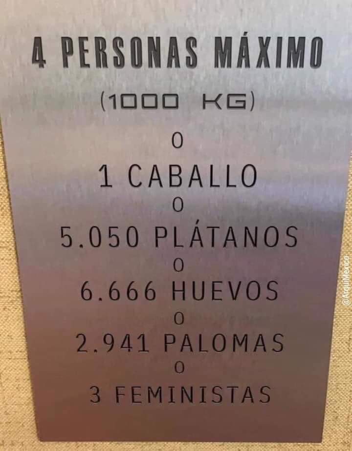 NoVive_Socialis's tweet photo. 3 feministas XD https://t.co/SQwiXZu3yb