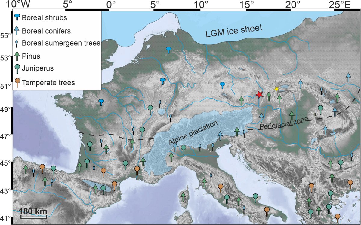 manuelacasasoli's tweet photo. Refugia for temperate #trees

Read here about "the first unequivocal proof that thermophilous trees such as oak (Quercus), linden (Tilia), and common ash (Fraxinus excelsior) survived the Last Glacial Maximum in Central Europe."

#Science #Ecology #Earth
⏯️https://t.co/T5OG8ks9nN https://t.co/lyZ6eGz0tj