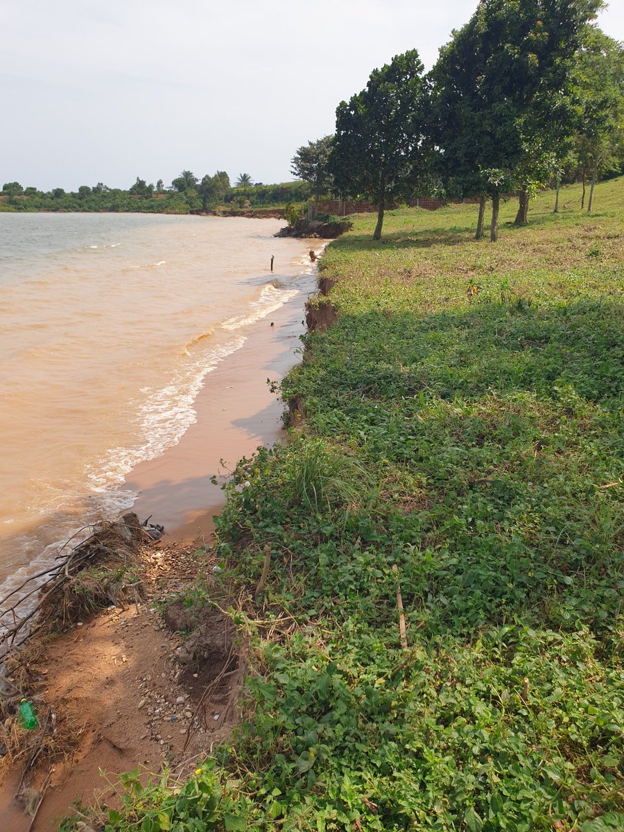 Mrlandug's tweet photo. Discover Your Dream lake view land at Kawuku Shoreline Estate! Secure your 50x100 ft. plot for just 60M. Act now to invest in your future!
0780315383 | 0709083330
#RealEstateDeals #Dreamland  #landHunting #PriceSlash  #SpecialOffers https://t.co/WstlqJKght