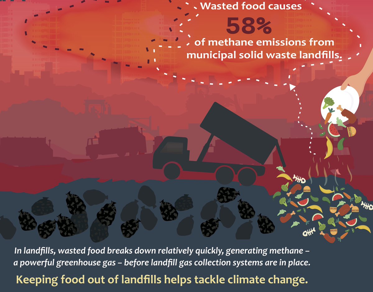 The journey towards a circular economy starts with small steps, like harnessing the potential of organic waste resources. 

Read more: 👉🏾 bit.ly/454IHnL

 #CircularEconomy
#WasteManagement