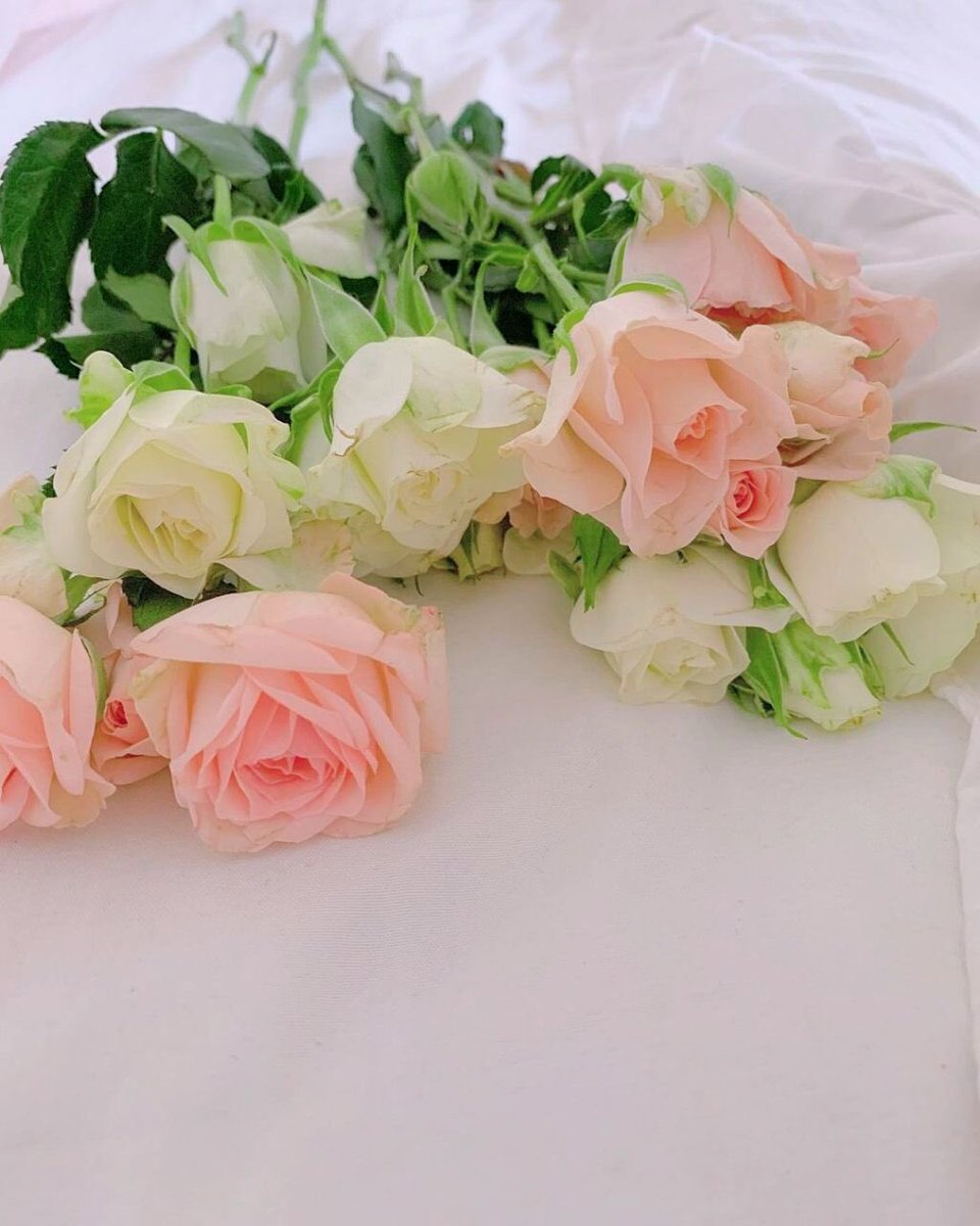 _كل تلك الورود يا سيدة
كانت بمثابة تذاكر جميل لرائحتكِ.. 🤍🥀