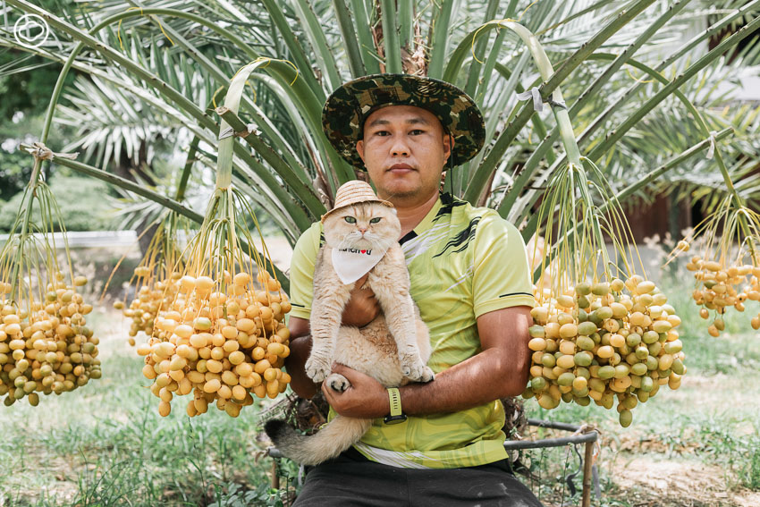 readthecloud's tweet image. โปรดรีบกลับบ้านไปกอดแมว! เพราะวันนี้ 4 มิถุนายน เป็น #วันกอดแมวสากล หรือจะกอดต้นเรื่องในบทสัมภาษณ์นี้แรง ๆ 1 หยุมก็ได้ เพราะเราพาไปรู้จัก เอ็ดเวิร์ด แมวนักเดินทาง แห่งเพจ Edward10516 คุยถึงการทำคอนเทนต์แมวกวน ๆ ให้คนติดตามกว่า 5 แสนคน #PageMaker readthecloud.co/edward10516/