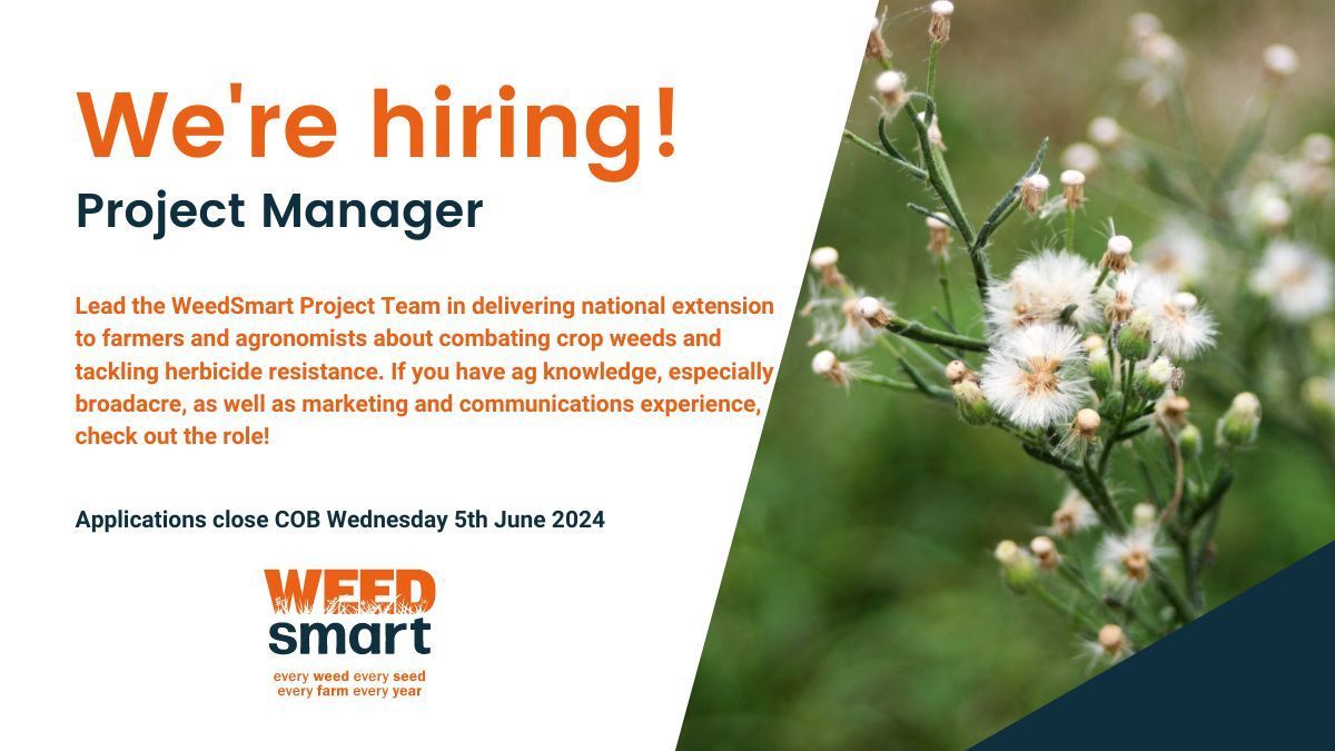 Deadline is tomorrow!⏰

Are you looking for a dynamic, collaborative and creative new role? Check out the Project Manager position @ WeedSmart! Ag knowledge + leadership skills are a must!

Position description &amp; application ➡️buff.ly/45d90Z0