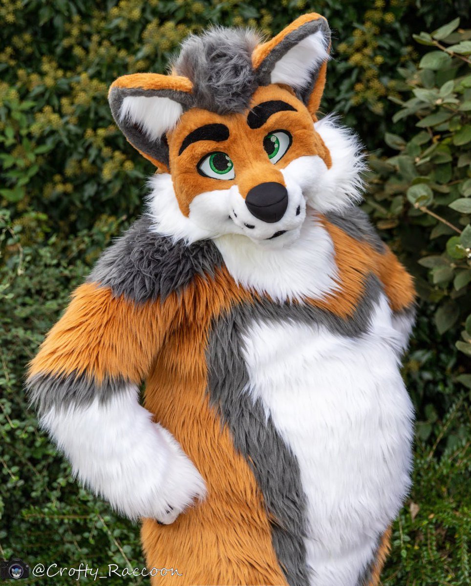 Special shout out to <a href="/WolfBearz/">️Gupperz @ CFz25</a> this #tummytuesday 🤨