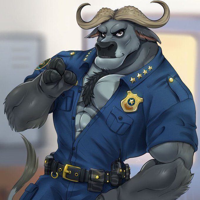 Bogo tweet media