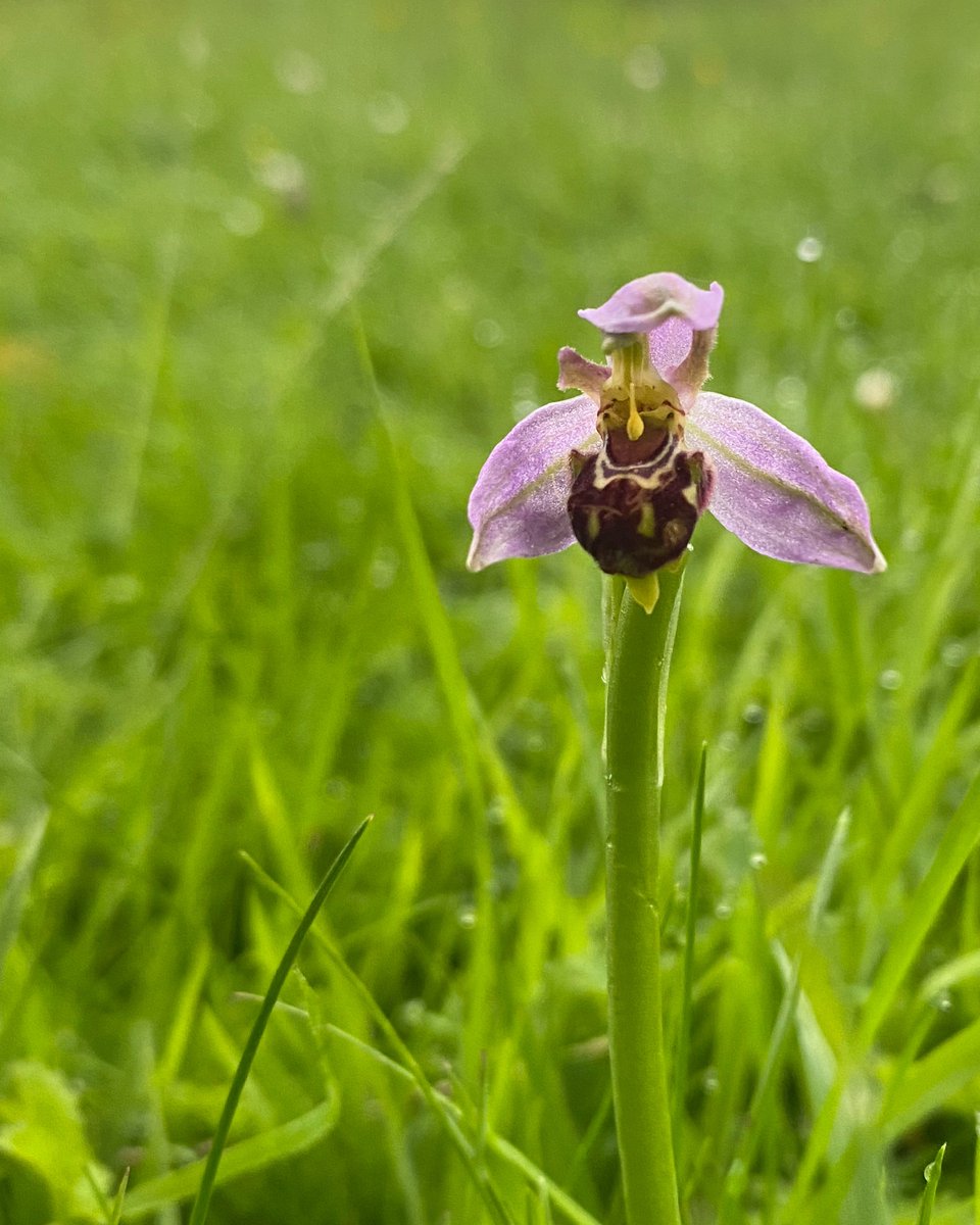 Sophie B tweet media