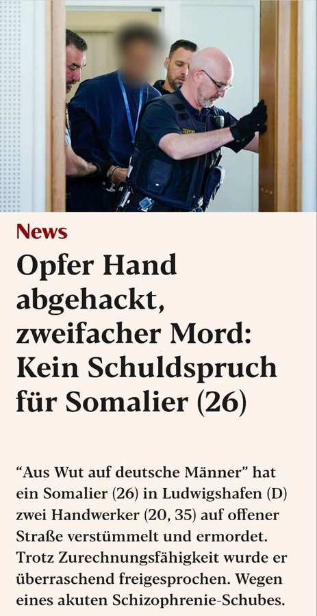 JeMaJaEh's tweet image. Ich habe irgendwann aufgehört, Screenshots von diesen ganzen Urteilen zu speichern.
Es ist zu beängstigend, was hier passiert und wie die Justiz urteilt.

#SayTheirNames #AnnMarie #Danny #Brokstedt #Jonas #Sascha #Ludwigshafen #EceSarıguel #Illerkirchberg