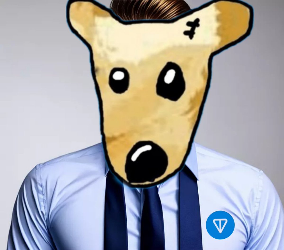 TOGE (CTO) | The DOGE of TON tweet media