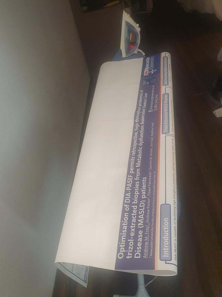 I have diligently ironed my poster for the cleanest possible presentation tomorrow #ASMS2024 come chat about DIA PASEF, unusual samples, data analysis decisions, and high throughput proteomics in general. TP184.