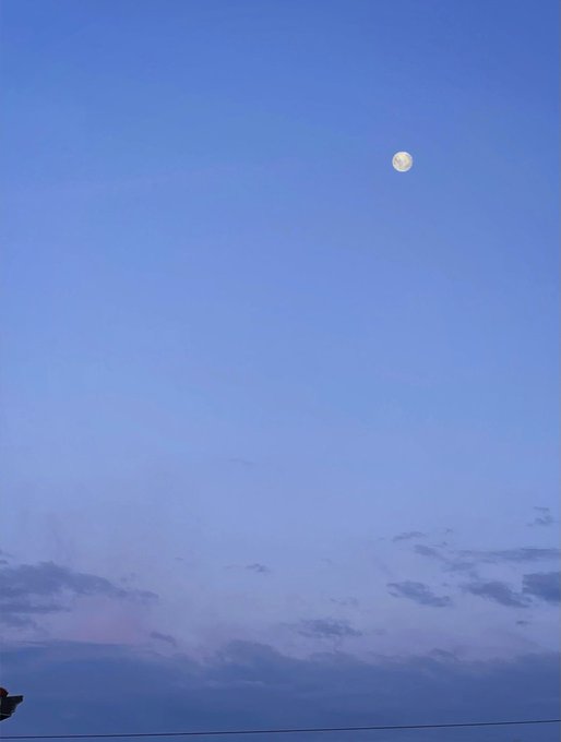 Stasera puoi farmi quello che vuoi 😈  #merculed&iacute; #asswednesday  @blackcorner_off @TheVoyeur2023 @A______Style<a href="/tag/merculed%C3%AD"class="tags">#merculed&iacute;</a><a href="/tag/asswednesday"class="tags"><span>#asswednesday</span></a>