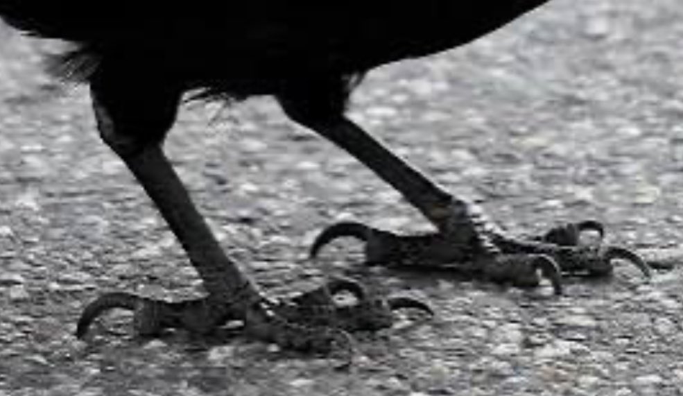 pattydbjj's tweet photo. Crow’s Feet

I used to not notice wrinkles in peoples’ faces. For some reason I filtered this data. Then I heard someone mention Crow’s Feet about another’s eyes. I started to see (&amp; judge) wrinkles everywhere.

Symbolic language powers perception. Symbolic selection powers love. https://t.co/IwYOZpAqkW