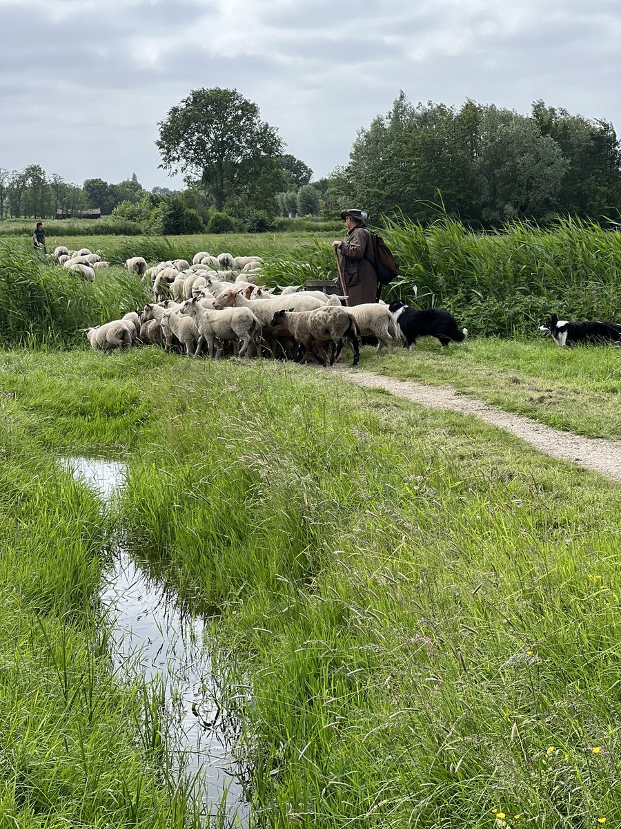 Alsof je een levend schilderij in stapt <a href="/MiddenDelflandN/">Midden-Delfland</a>