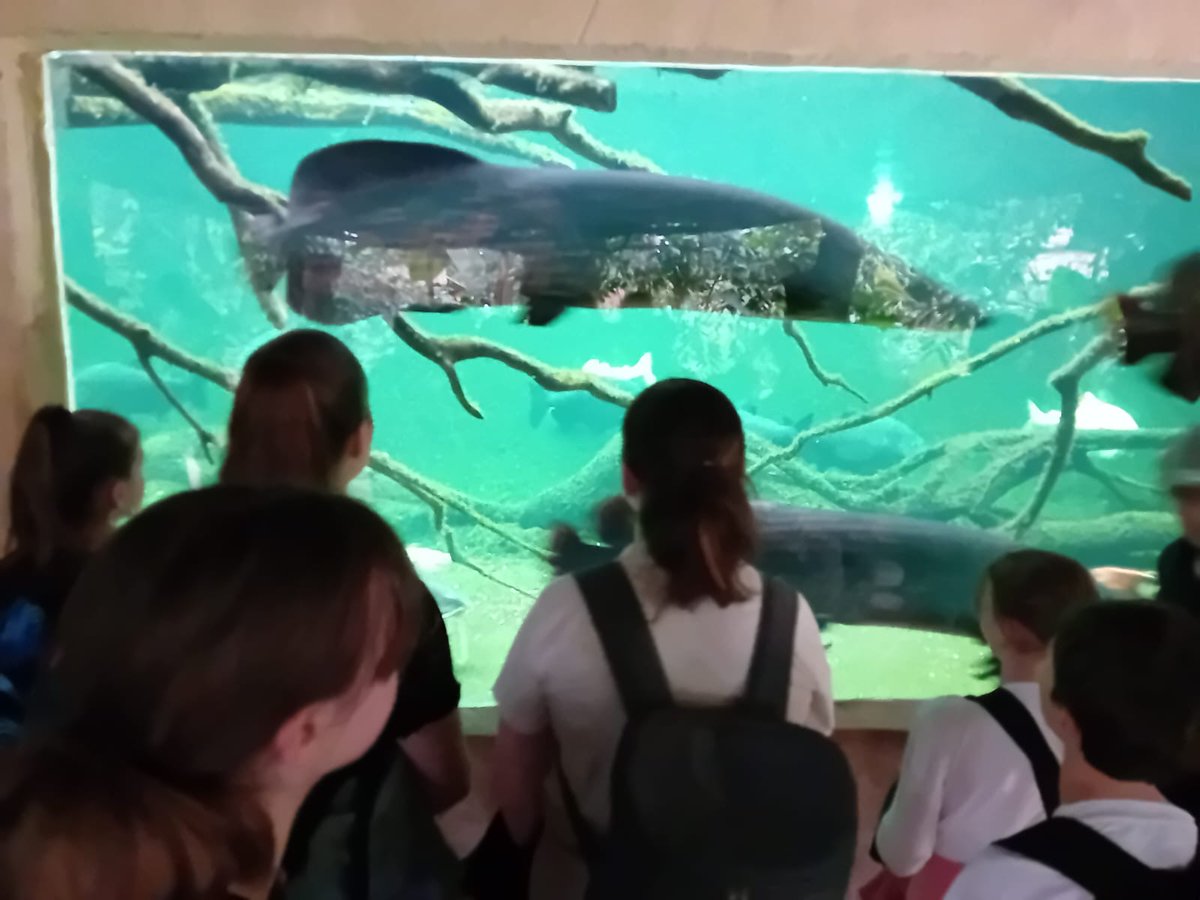 ▶️Découverte de la base de Léry Poses et de sa réserve ornithologique 🪶
▶️Visite des serres de  #Biotropica 
                                             🔽
Nos 25 éco-délégués ont passé une belle journée pour clôturer leur année d'engagement #EDD !

<a href="/ac_normandie/">Académie de Normandie</a> <a href="/dsden27/">DSDEN27</a>