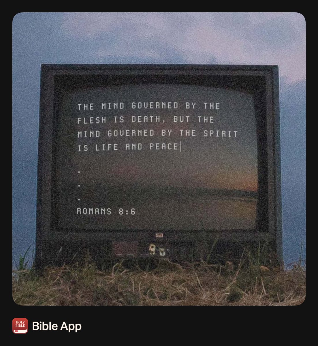 trapkingplays tweet media