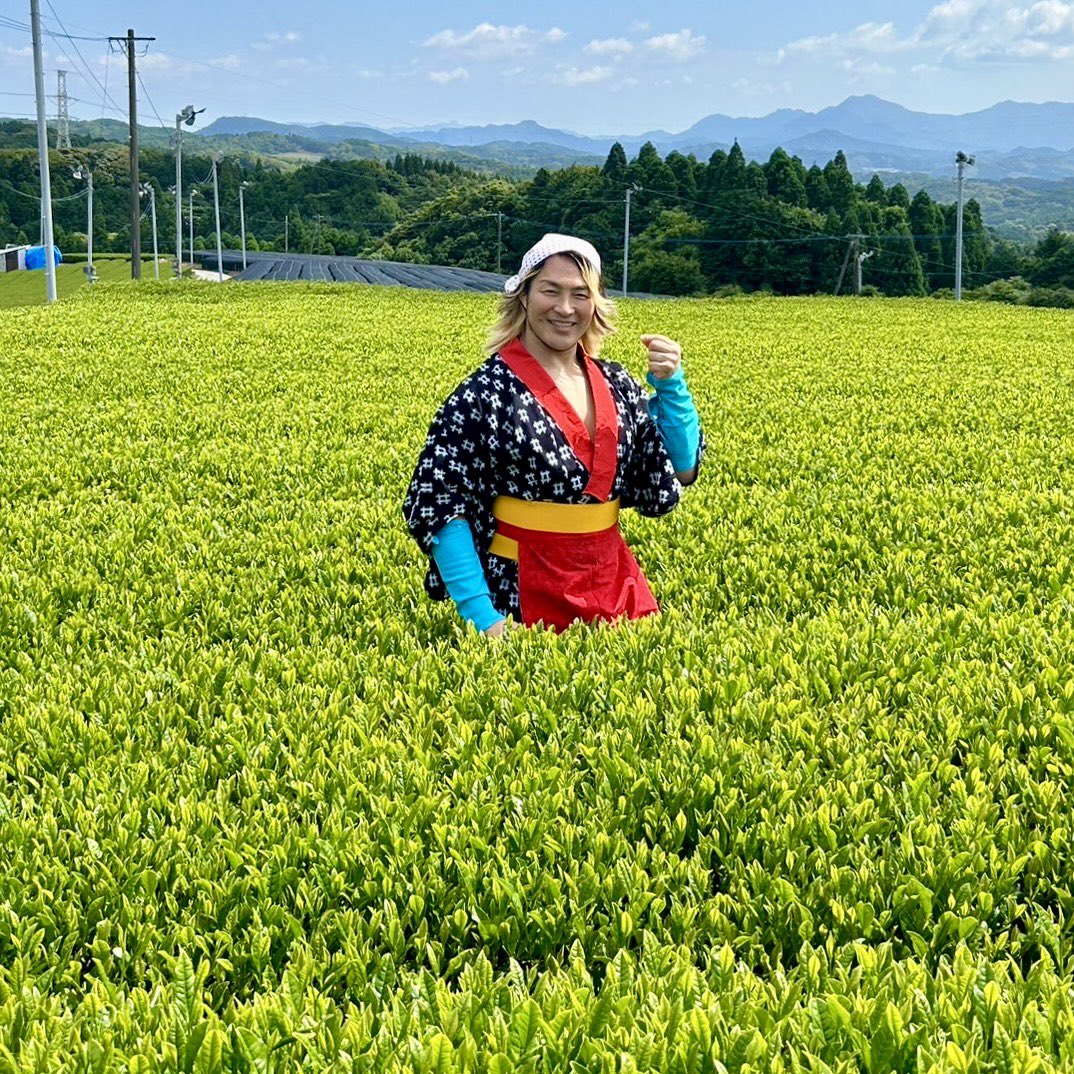 茶☆摘みます

#からつ茶 #唐津市