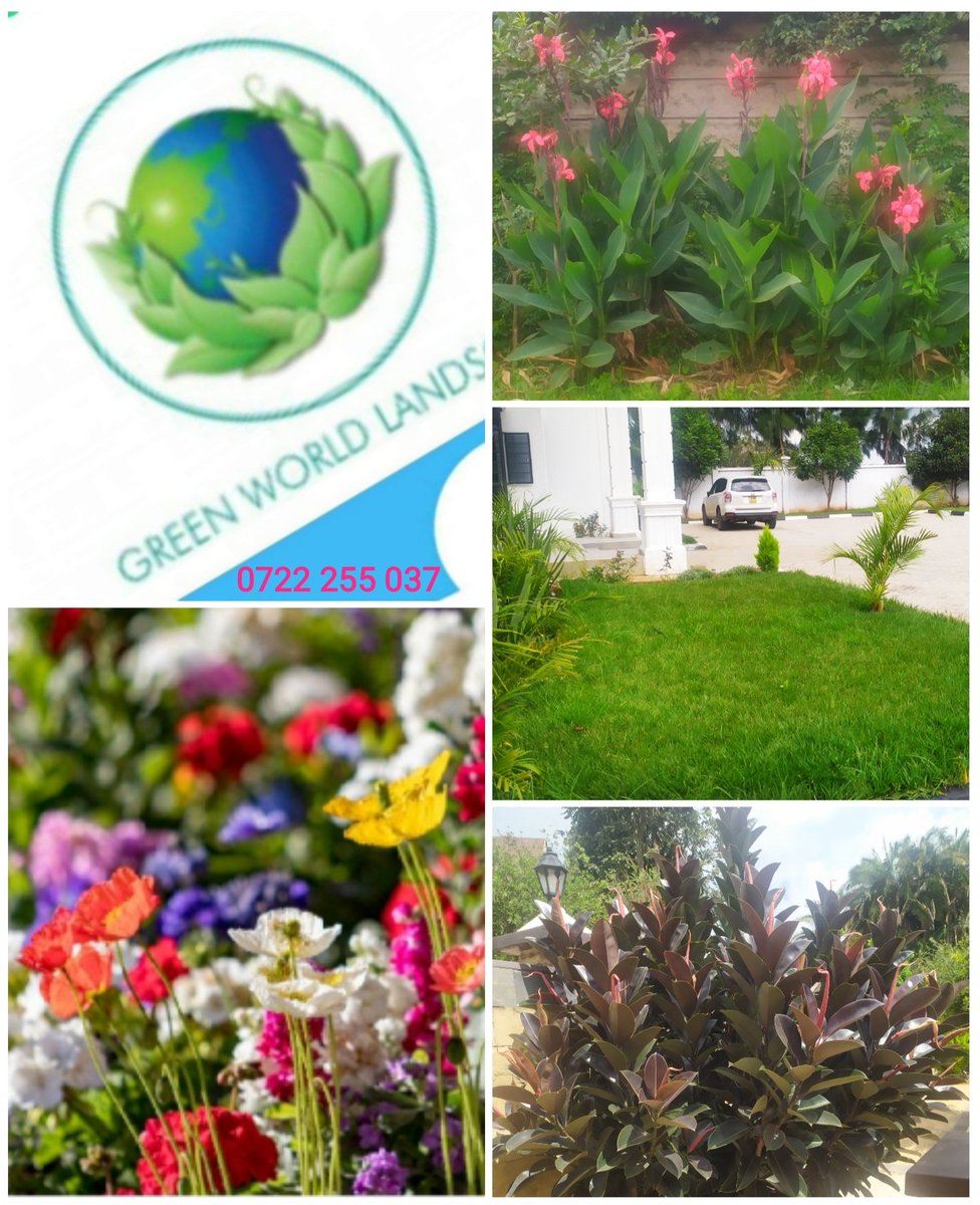 Green World Landscapers (@greenworldland1) on Twitter photo 