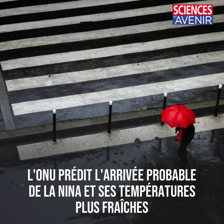 L'ONU prédit l'arrivée probable de la Nina et ses températures plus fraîches 👉 l.sciencesetavenir.fr/F5G