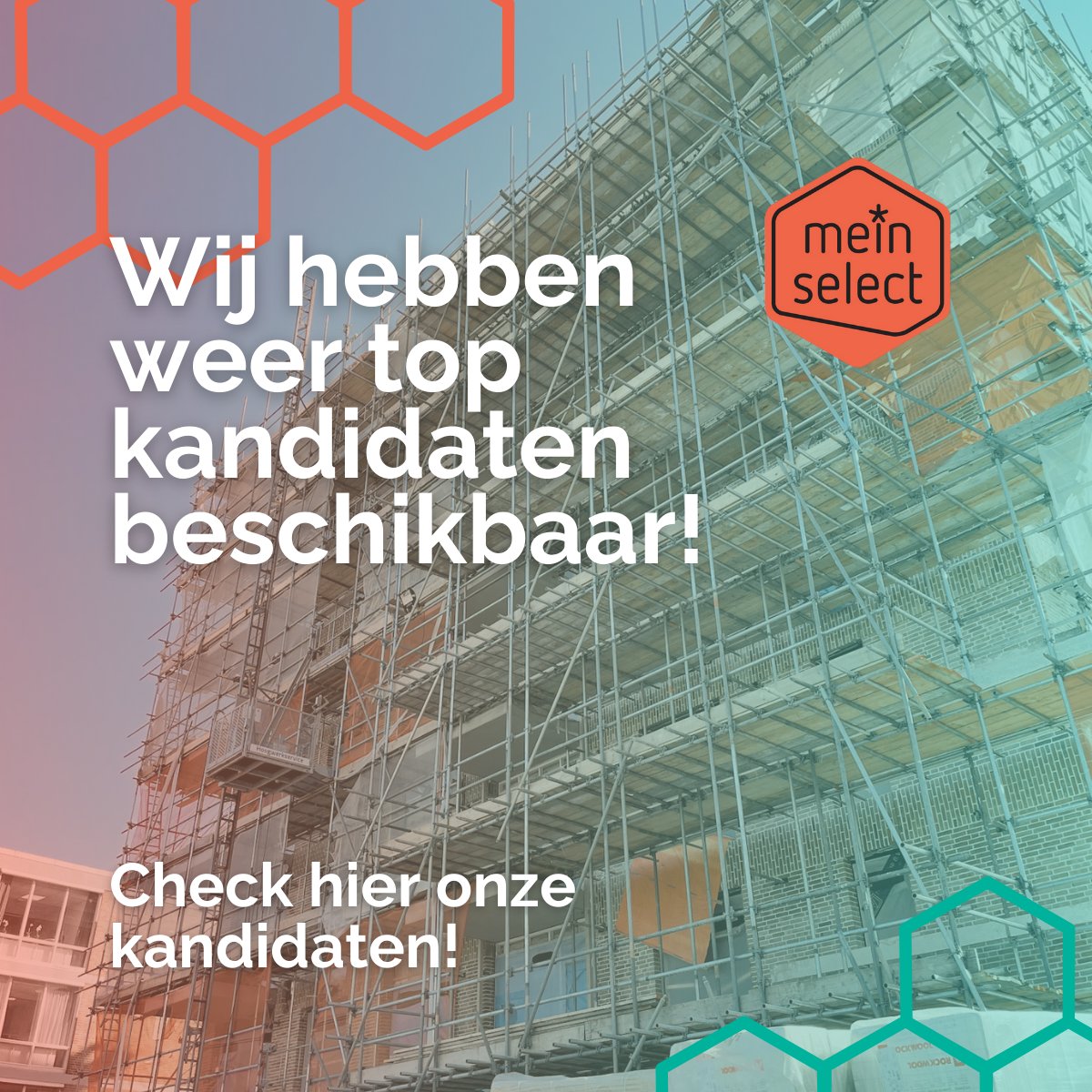 Meinselect's tweet photo. Ben je op zoek naar goed personeel? We hebben weer kandidaten beschikbaar die staan te trappelen om samen met jou aan de slag te gaan! Ontdek onze top drie kandidaten en maak kennis met onze andere toptalenten via onze website! https://t.co/iX126PqH1N