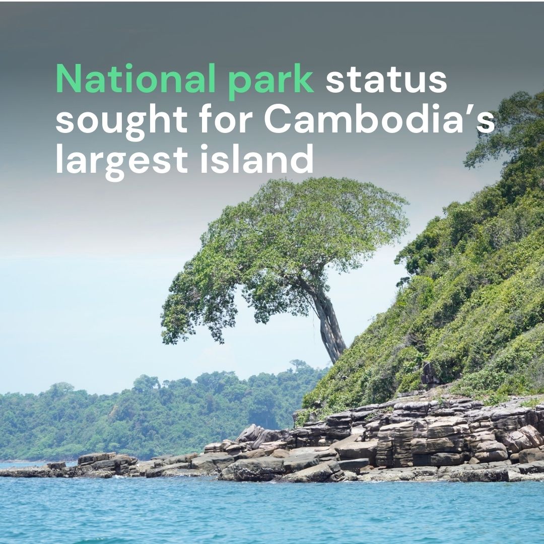 🏝️It's been 4 years since the Cambodia gov announced plans to declare Koh Kong Krao as a marine national park.⛵With little progress revealed, communities/activists are urging for faster action. ✒️By Eung Sea and & Meng Kroypunlok @earthjournalism Read: bit.ly/3x9Z3yD