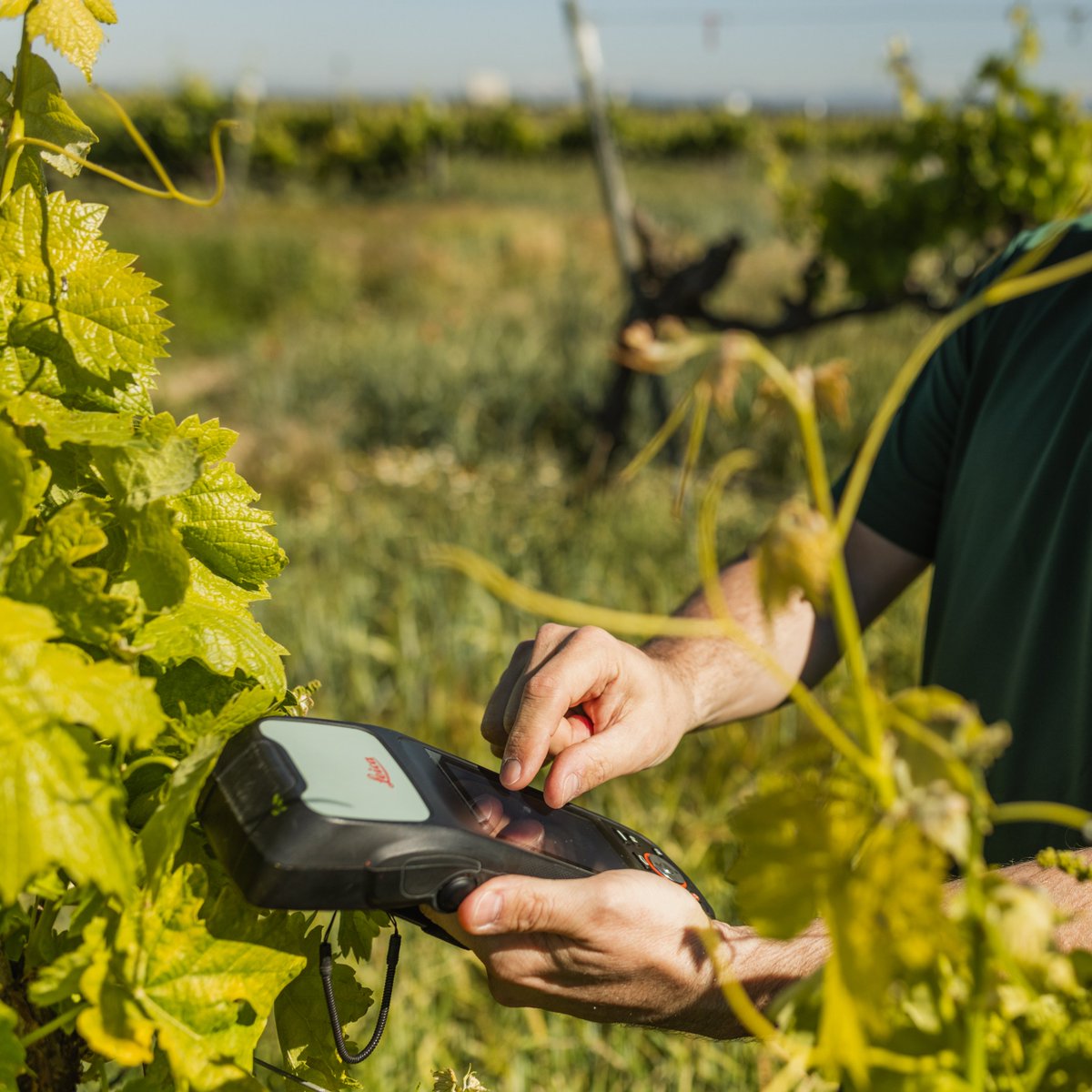 GrapUdL's tweet photo. [1] New thread on the technologies we use to acquire data in Precision Agriculture. We start with Global Navigation Satellite Systems. GPS is 1 of the 4 available GNSSs. GNSS enables the absolute location of anything from plants or tractors to sensor data @Agrotecnio @UdL_info https://t.co/deCeJofUWX