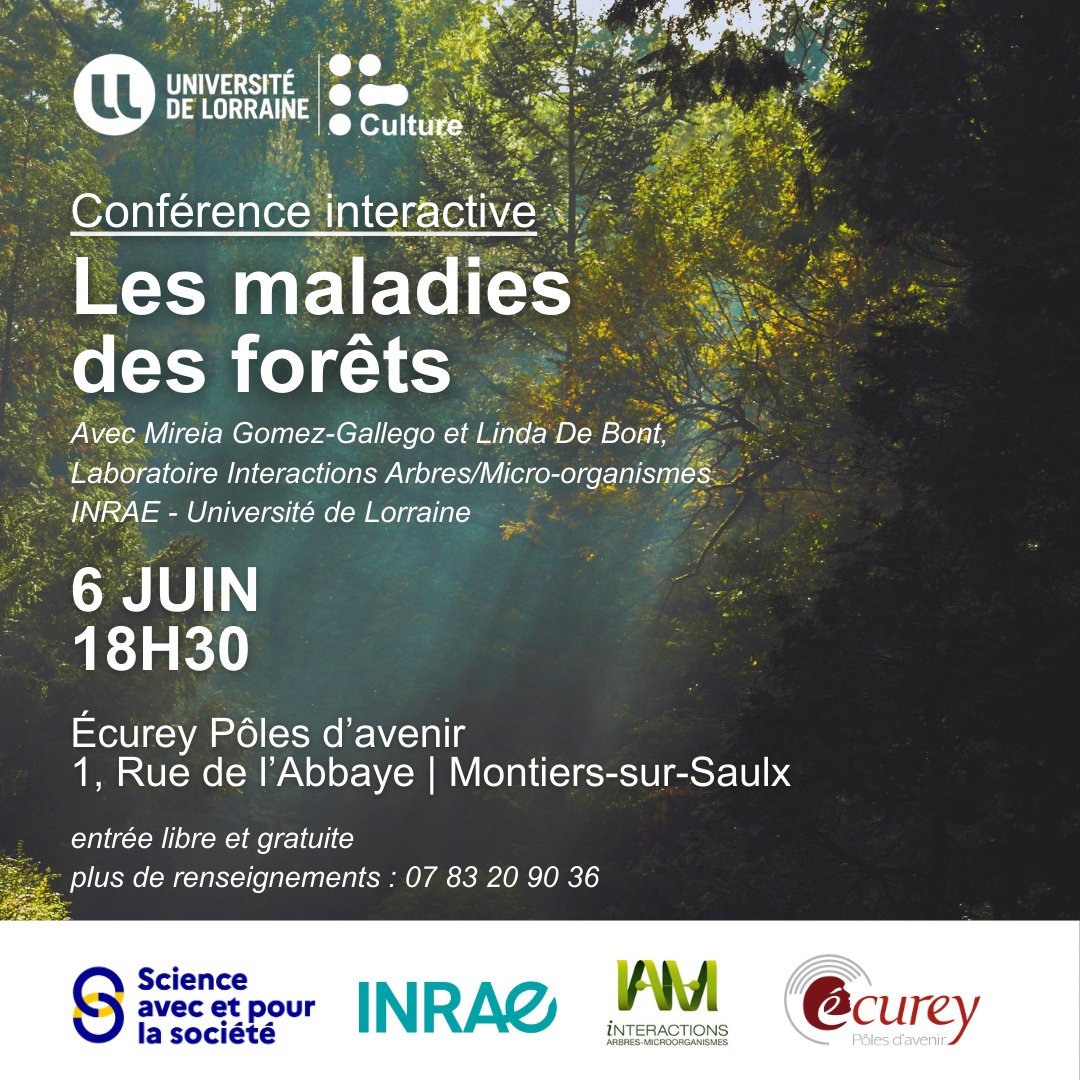 [CULTURE SCIENTIFIQUE] 🗓️ RDV jeudi 6 juin pour une conférence interactive intitulée « Les maladies des arbres », avec Mireia Gomez-Gallego et Linda De Bont <a href="/Univ_Lorraine/">Lorraine</a> <a href="/INRAE_France/">INRAE</a>  
⏱️18h30
📍Ecurey Pôles d'avenir, Montiers-sur-Saulx.

Plus d’infos : u2l.fr/q1czgc