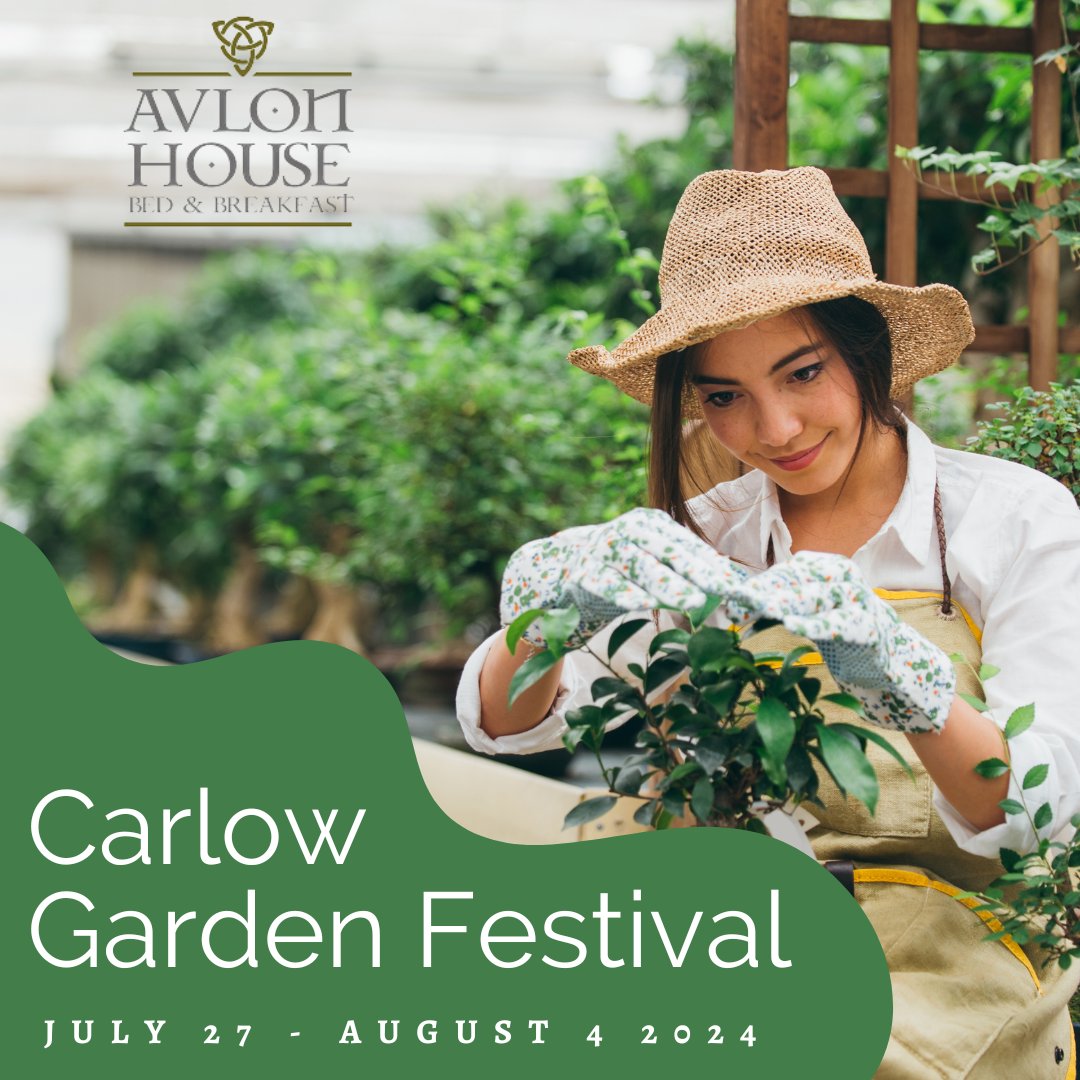 Rooms available for the #carlowgardenfestival2024. From July 27th - August 4th #Carlow will welcome thousands of visitors to enjoy what’s set to be a must visit on the horticultural &amp; gardening calendar. Book early this year. #lovegardening #irelandsancienteast #carlowbnb