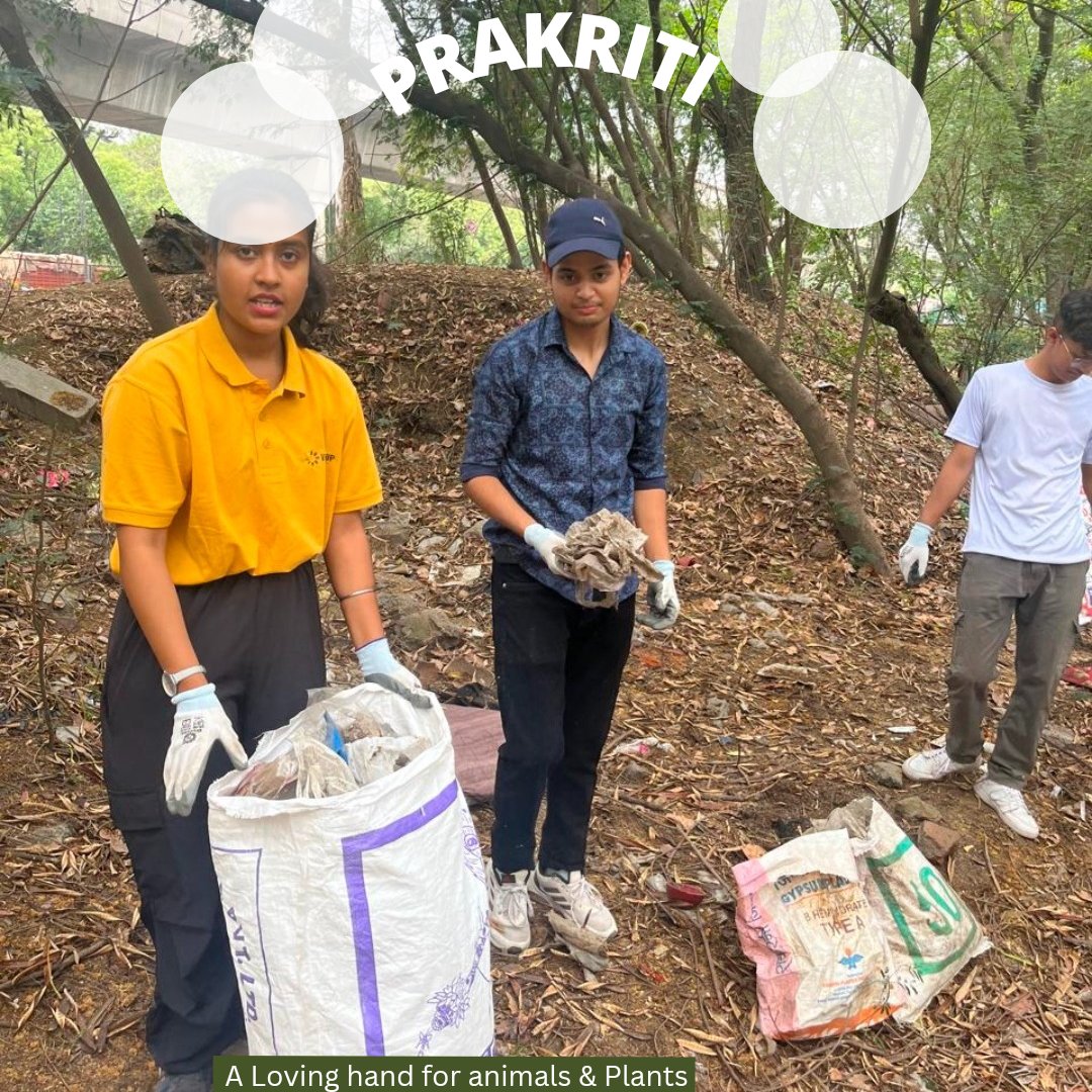 rotaractdpsru's tweet photo. ✨️ Flagship Event - Prakriti 🌳✨️
Plogging Drive under the flagship event in Delhi Cant. area was a huge success 

#rotaract #rotaryinternational https://t.co/ycteKOqEFl