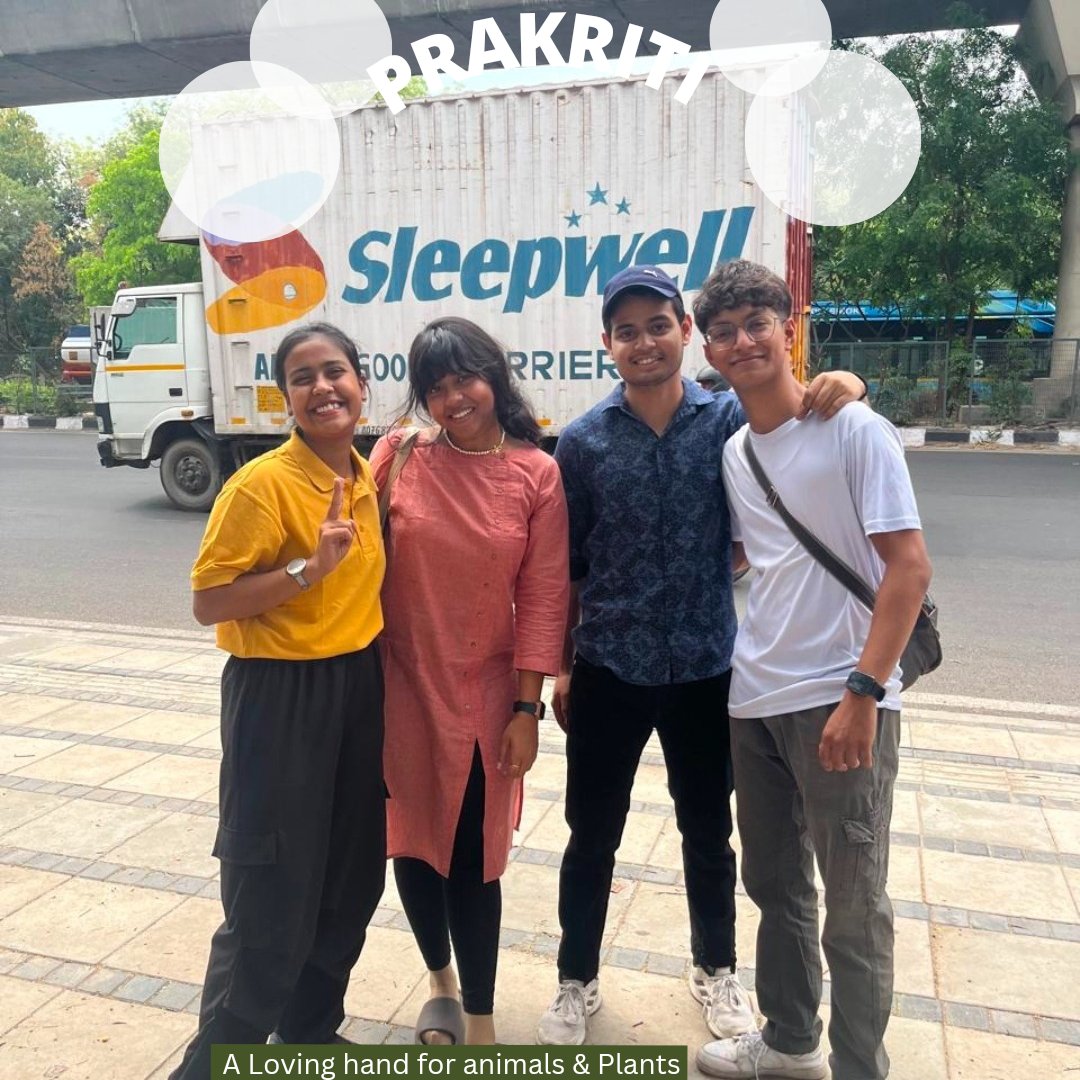 rotaractdpsru's tweet photo. ✨️ Flagship Event - Prakriti 🌳✨️
Plogging Drive under the flagship event in Delhi Cant. area was a huge success 

#rotaract #rotaryinternational https://t.co/ycteKOqEFl