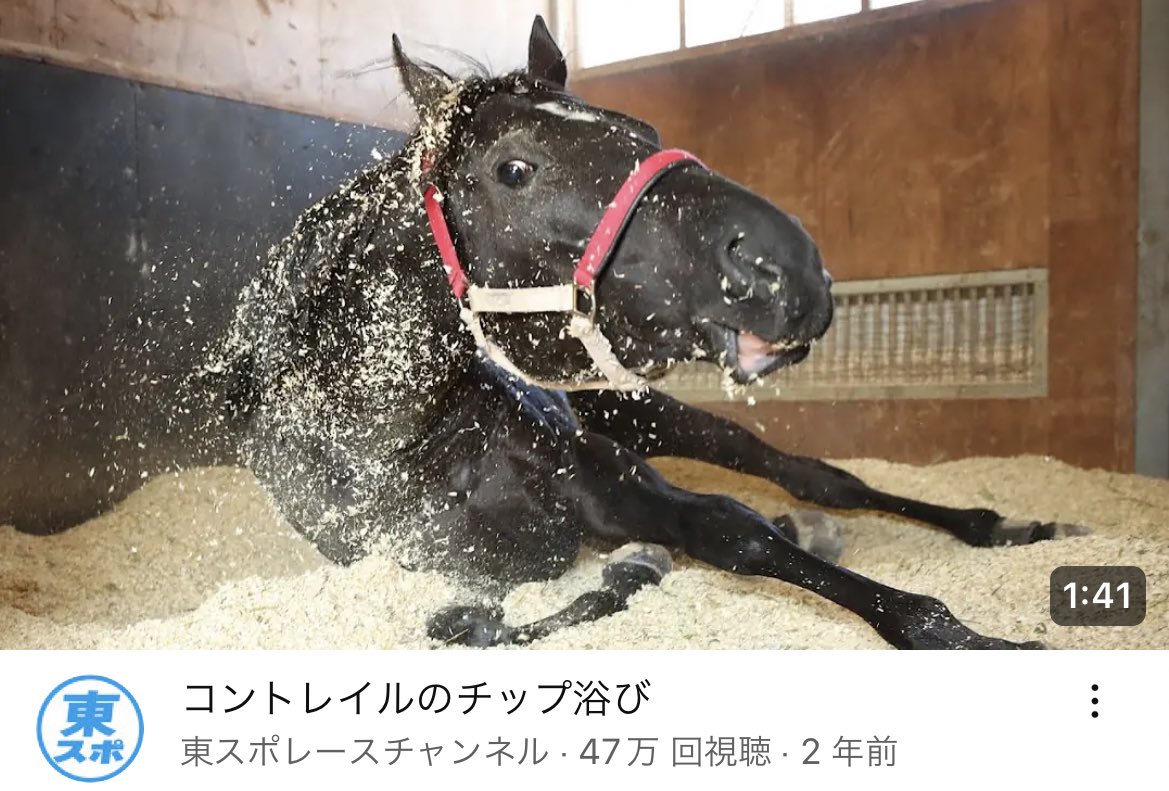 コントレイル　ダービー　マーカー コントレイル ダービー マーカー JRA 競馬 クリップマーカー コン