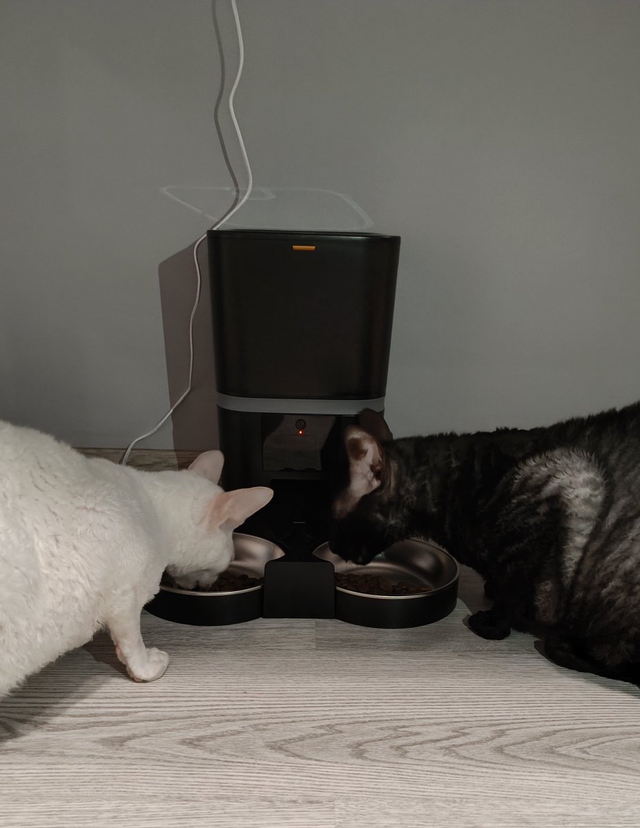 Вчера дома появилась новая шайтан-машина для кормления моих монстров. 
И сегодня утром Сева не выносил дверь! 
Посмотрим, как пойдёт, но пока полёт нормальный!