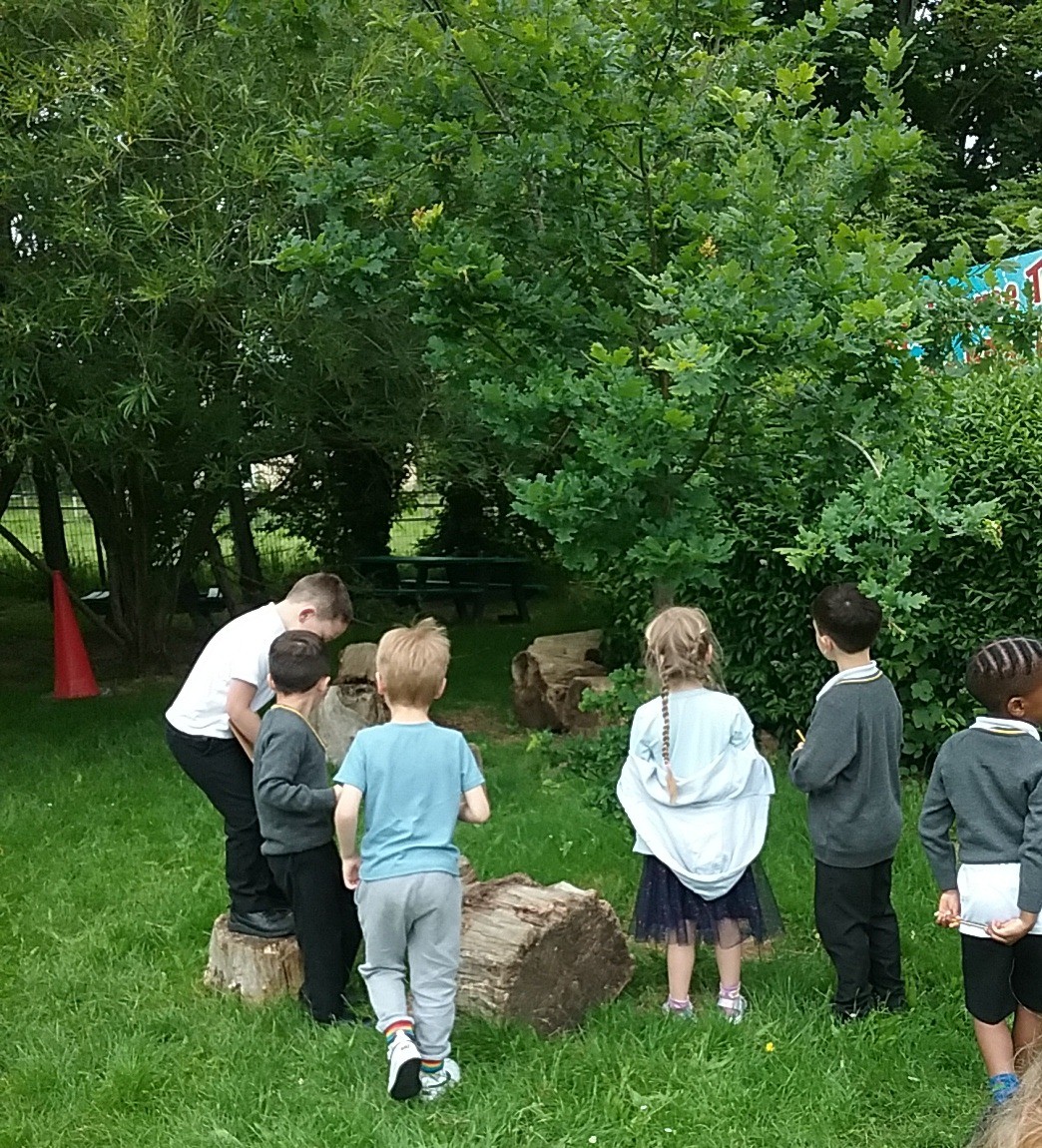 Sharnbrook Primary tweet media