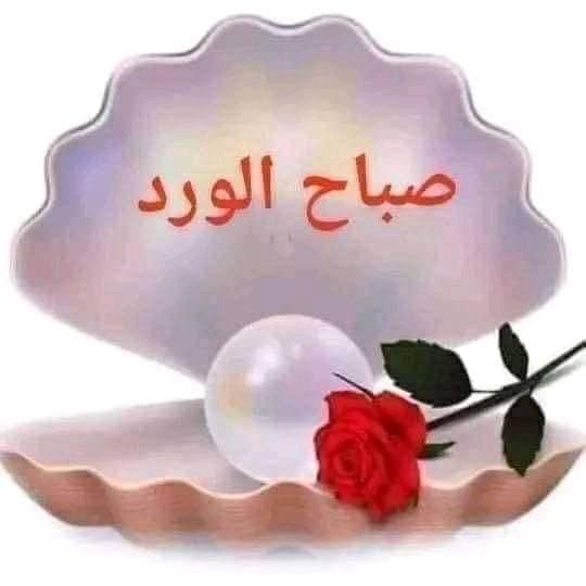 Antsar ALjumaili tweet media