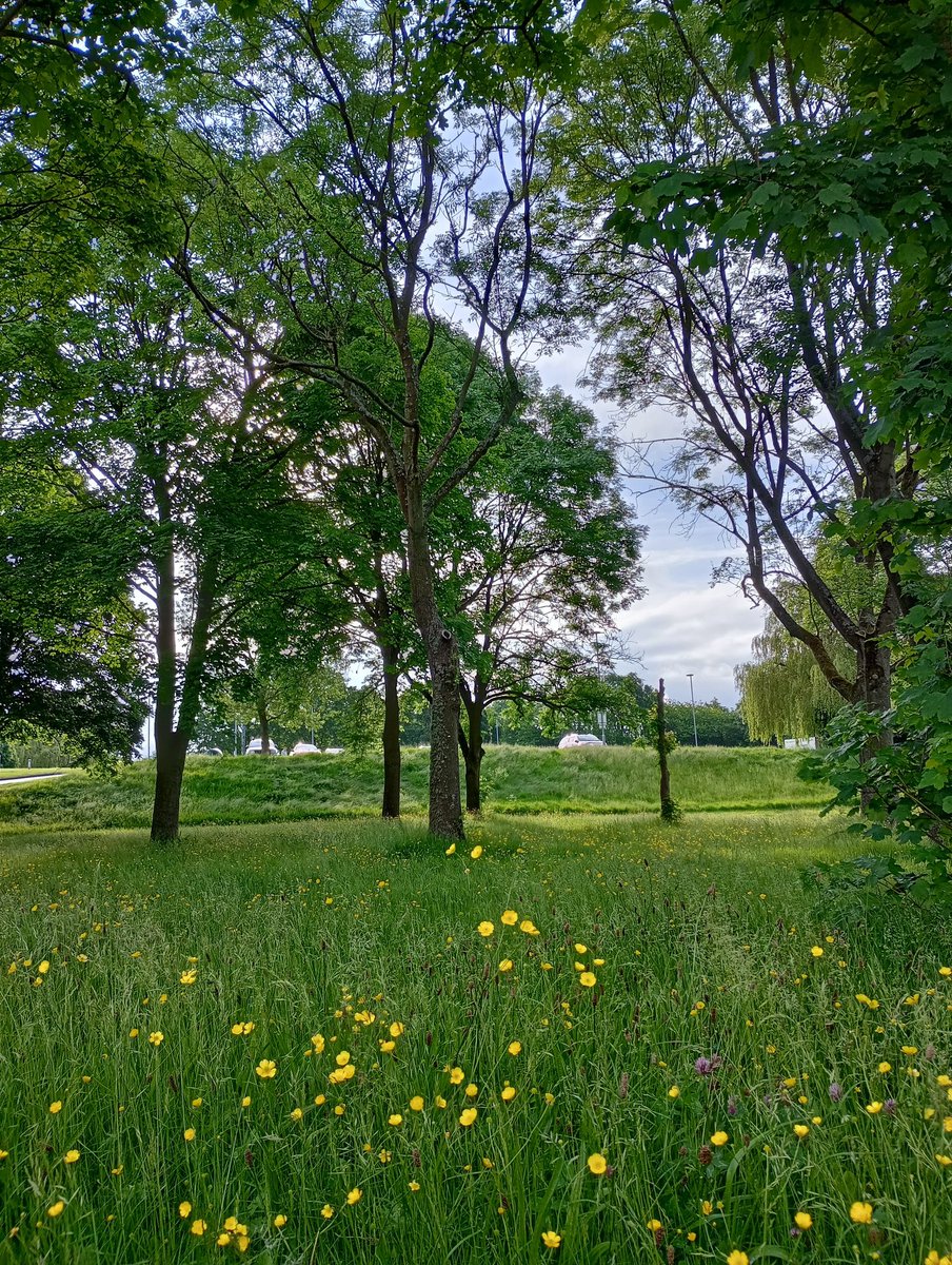 Beautiful morning at our Kedleston Road site. Good luck to our second year BSc Occupational Therapy students with your assessments today and tomorrow. <a href="/DerbyOT/">Derby OT</a>