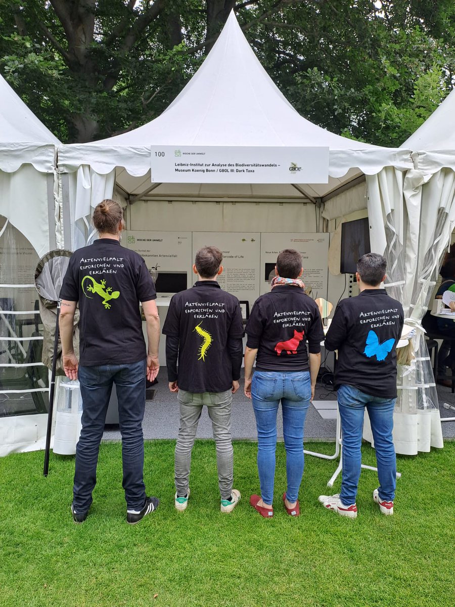 @GBOLIIIDarkTaxa -  is prepaired 🤩🤗 #WochederUmwelt #SchlossBellvue #DarkTaxa #Biodiversität
<a href="/Leibniz_LIB/">LIB</a> #Berlin 
Fotos: LIB, GBOL-TEAM