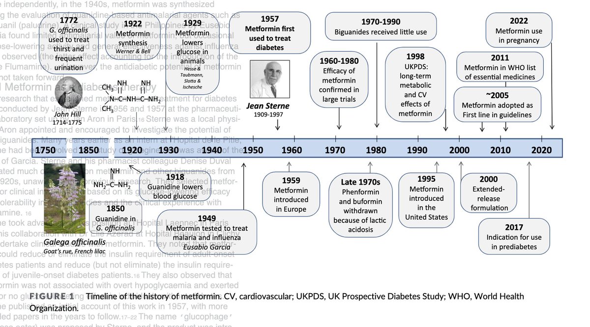 Great historical review of the timelines (from 1750) of Metformin in T2 diabetes

By the legendary Clifford Bailey

…ubs.pericles-prod.literatumonline.com/doi/10.1111/do…