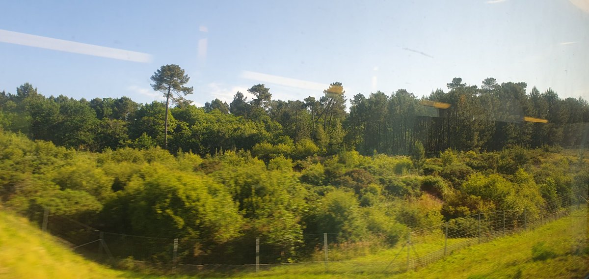 Rachel Dutrech tweet media