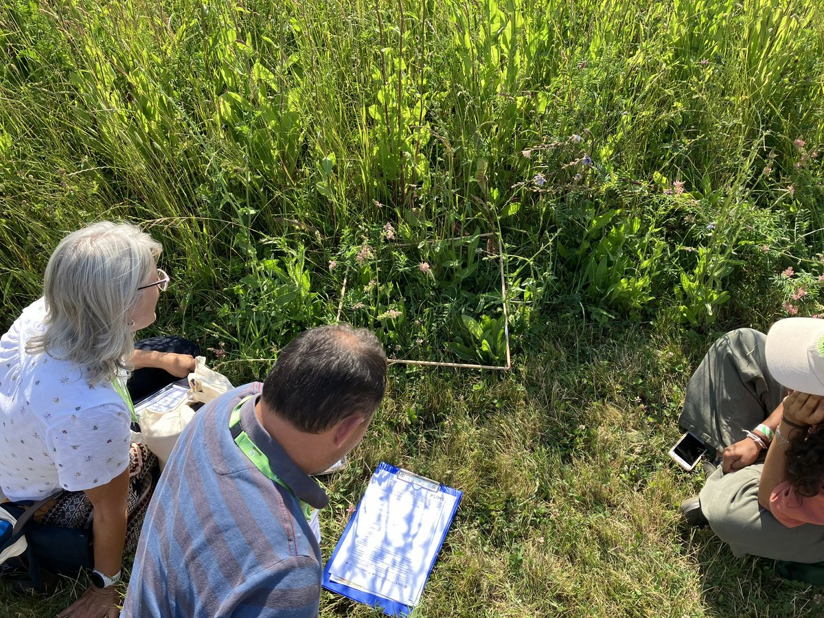 UK Pollinator Monitoring Scheme tweet media