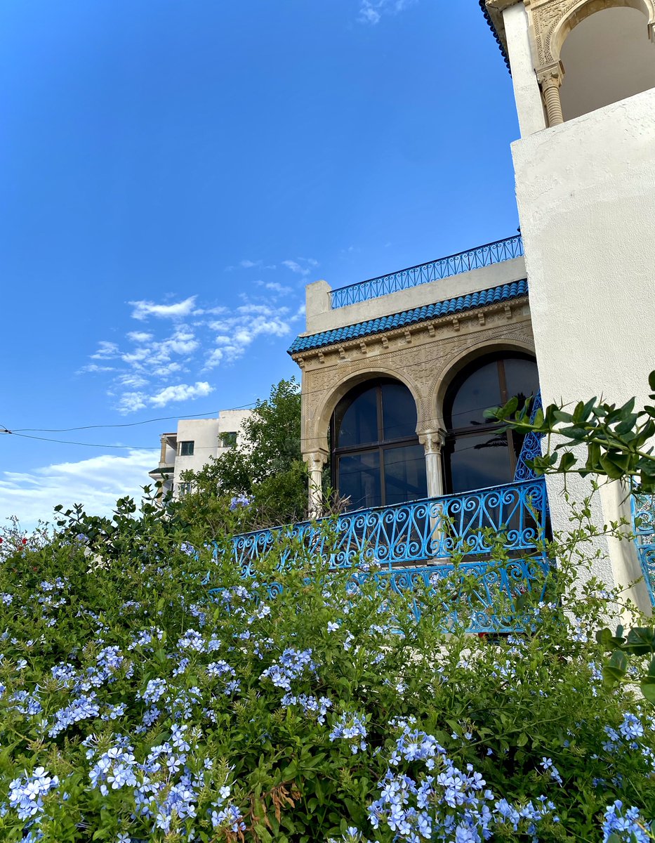AxmedElkmeshi's tweet photo. Astonished by La Marsa district Tunis. The preservation of the authentic Andalusian architecture combined with the color palette of the Mediterranean is an awe inspiring spectacle. Can’t help but to feel sorry how Tripoli lost its heritage to the box shaped concrete monstrosities https://t.co/8Lyzs9g1s9