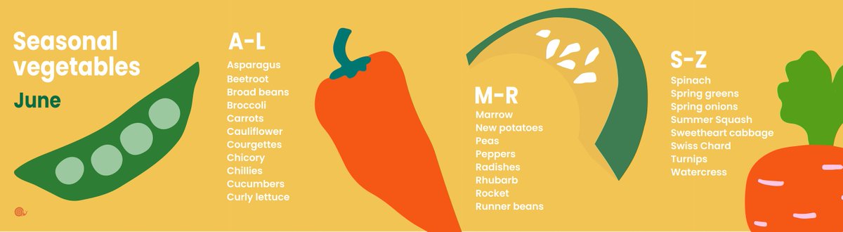 Eating seasonal produce has so many benefits for you and the planet. Here's a #SlowFood UK guide for seasonal vegetables available in June.