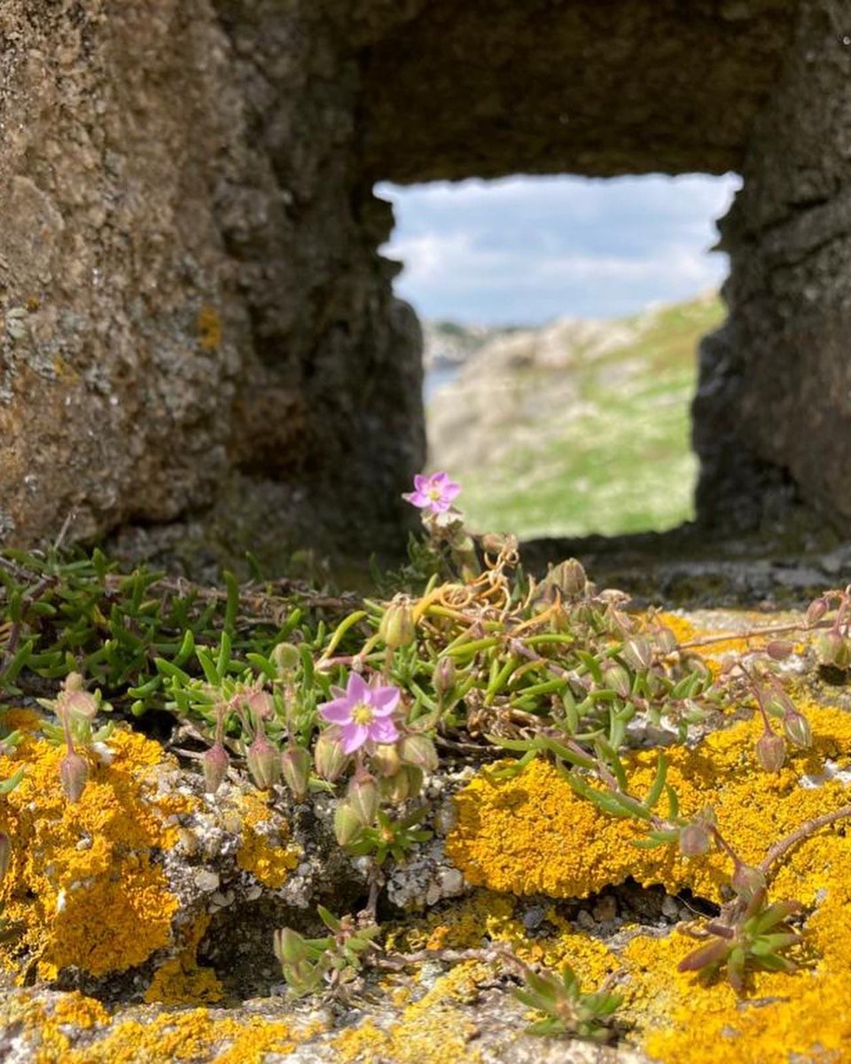 Pictures from my visit to Ireland last summer when I was researching the novel I finished earlier this year ‘The House on Fairy Hill’ - a small Irish village, a mother and baby home and a family with generations of secrets in their past...  #iamwriting #womensfiction